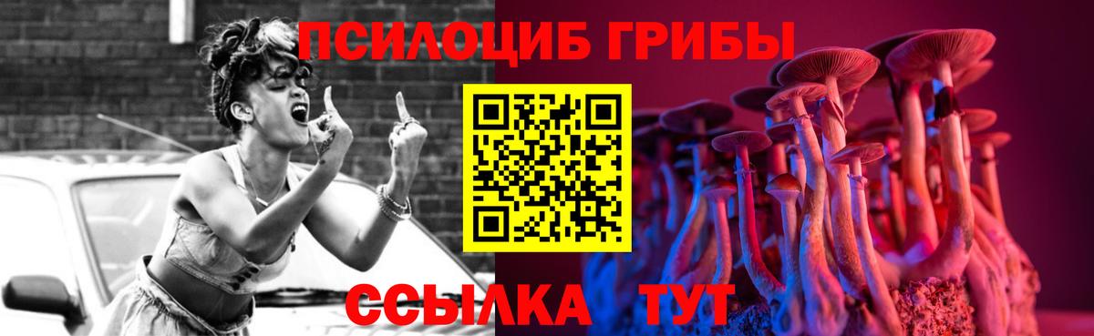 Псилоцибиновые грибы прущие грибы  Вход с VPN  Тулун 