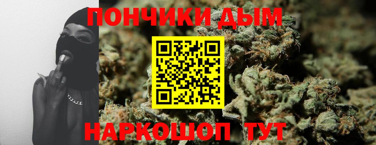 Тулун  Канабис индика  Вход с VPN  МАРИХУАНА ГИДРОПОН  Каннабис конопля 